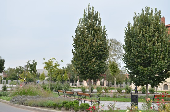 Szabadság Téri Park