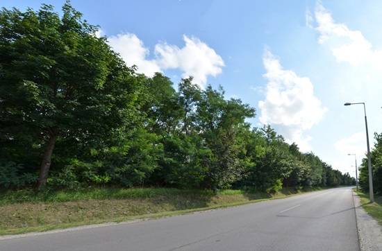 Millecentenáriumi Emlékfasor