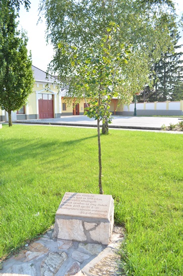 A 20 Éves Város Emlékfája